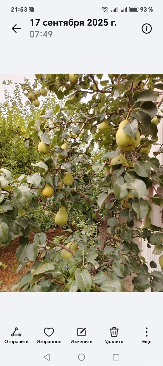 4 otaqlı Həyət evi/Bağ evi, Maştağa q., Bakı