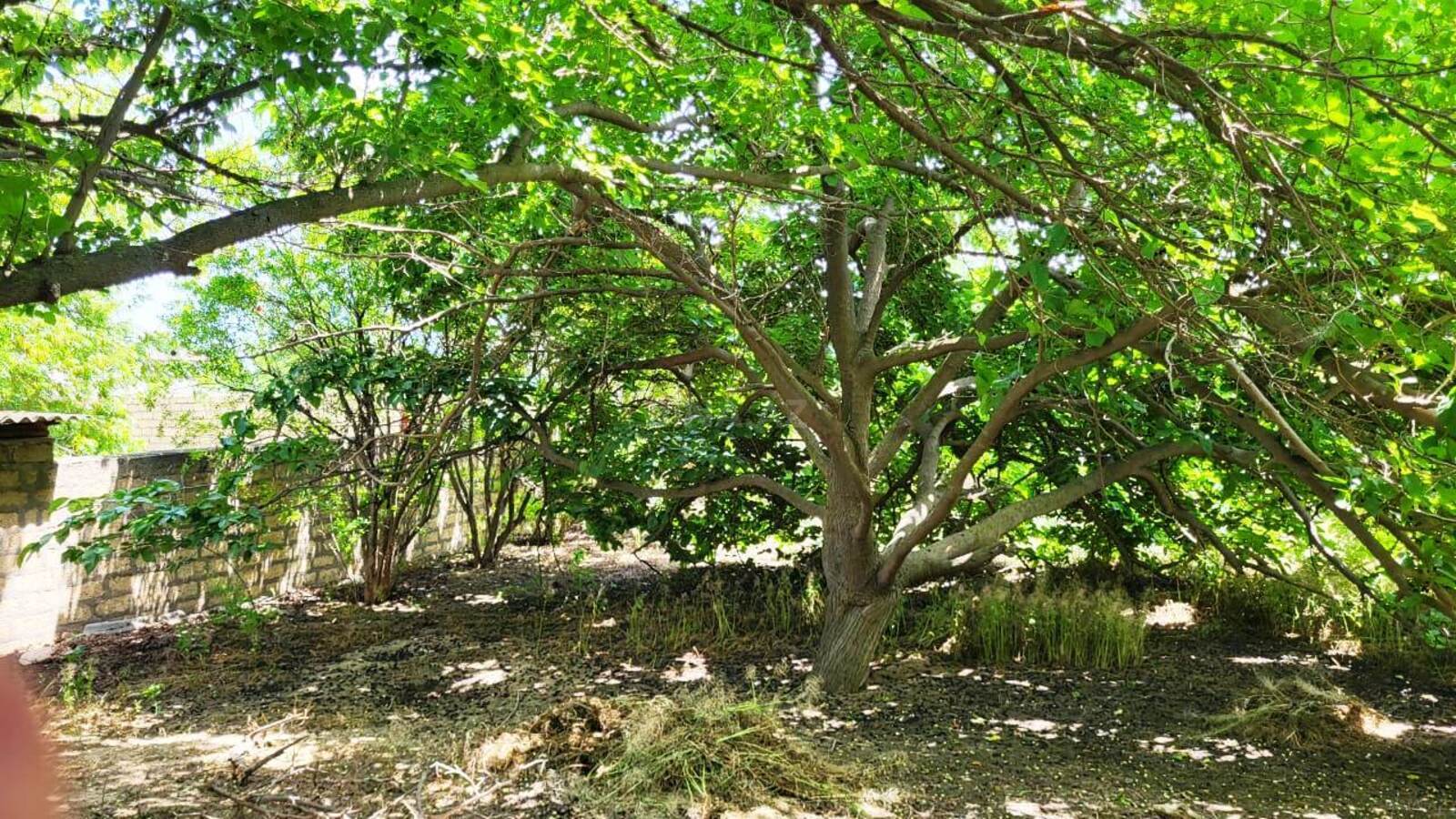 5 otaqlı Həyət evi/Bağ evi, Abşeron r., Bakı