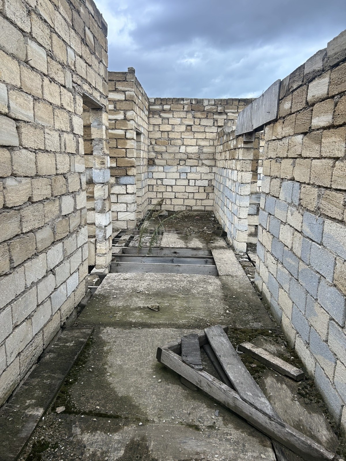 Torpaq Buzovna q., Bakı