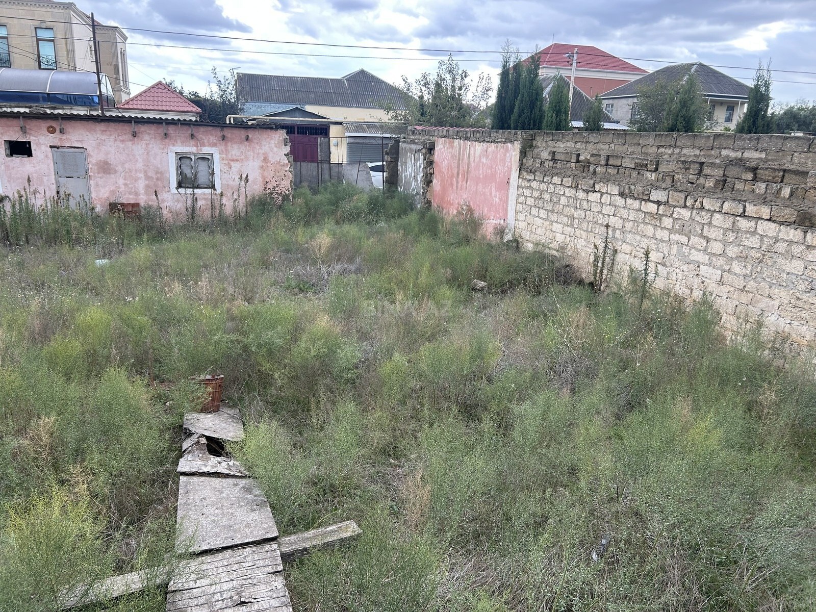 Torpaq Buzovna q., Bakı