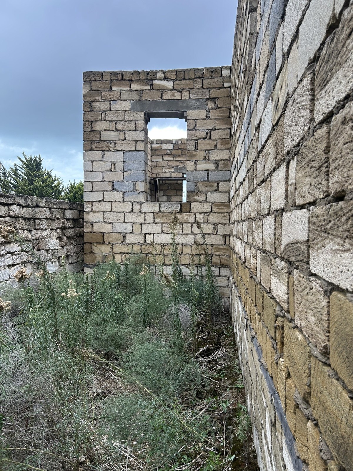 Torpaq Buzovna q., Bakı