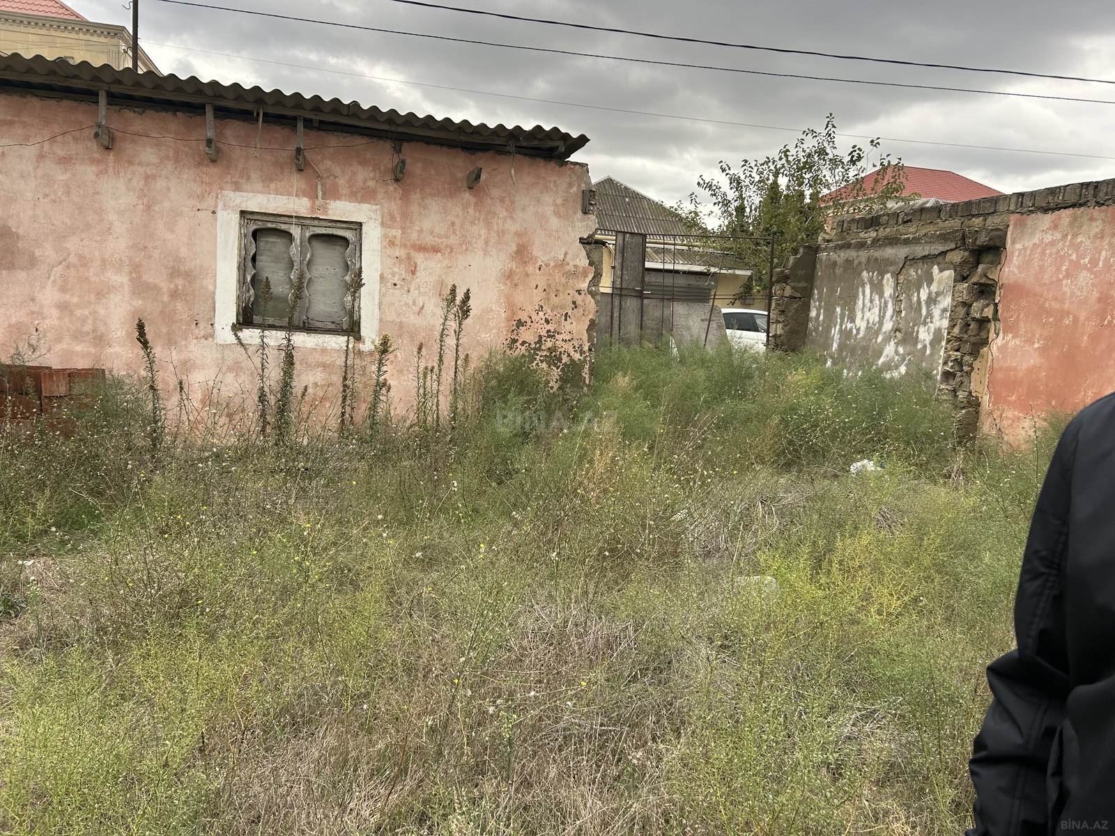 Torpaq Buzovna q., Bakı