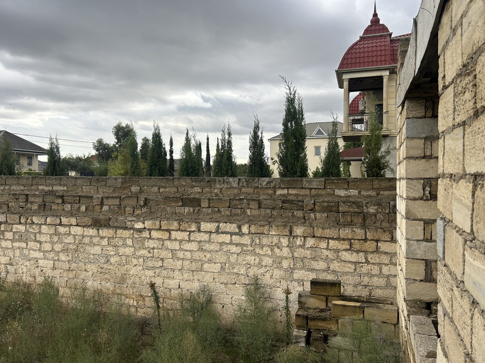 Torpaq Buzovna q., Bakı