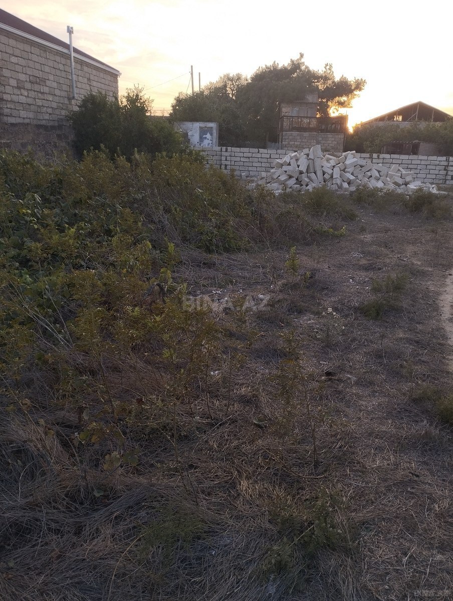 Torpaq Albalılıq q., Bakı