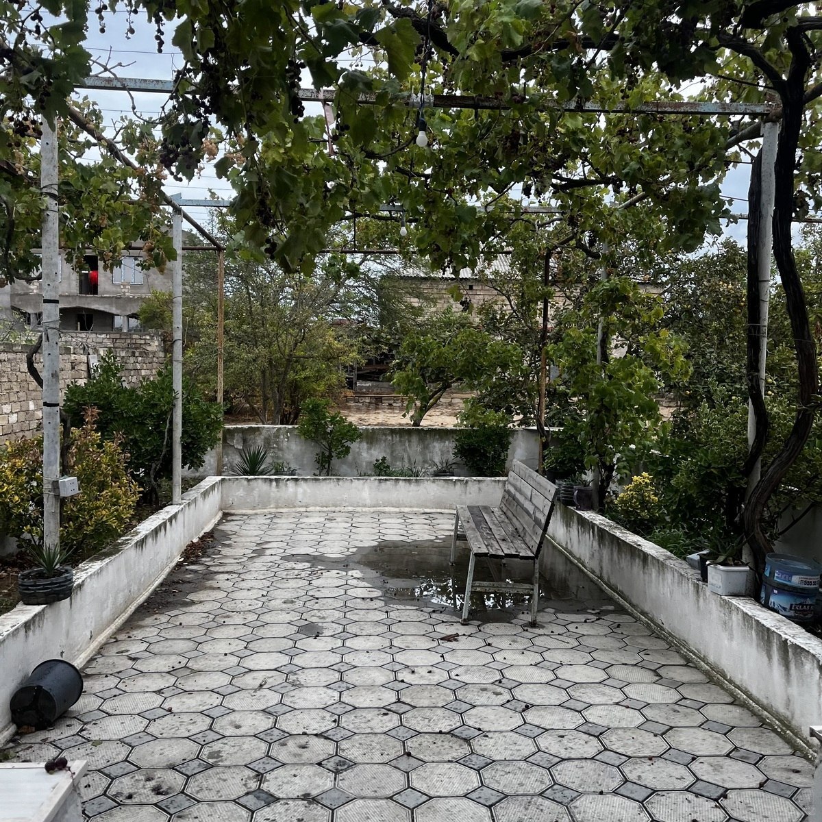 Torpaq Nardaran q., Bakı