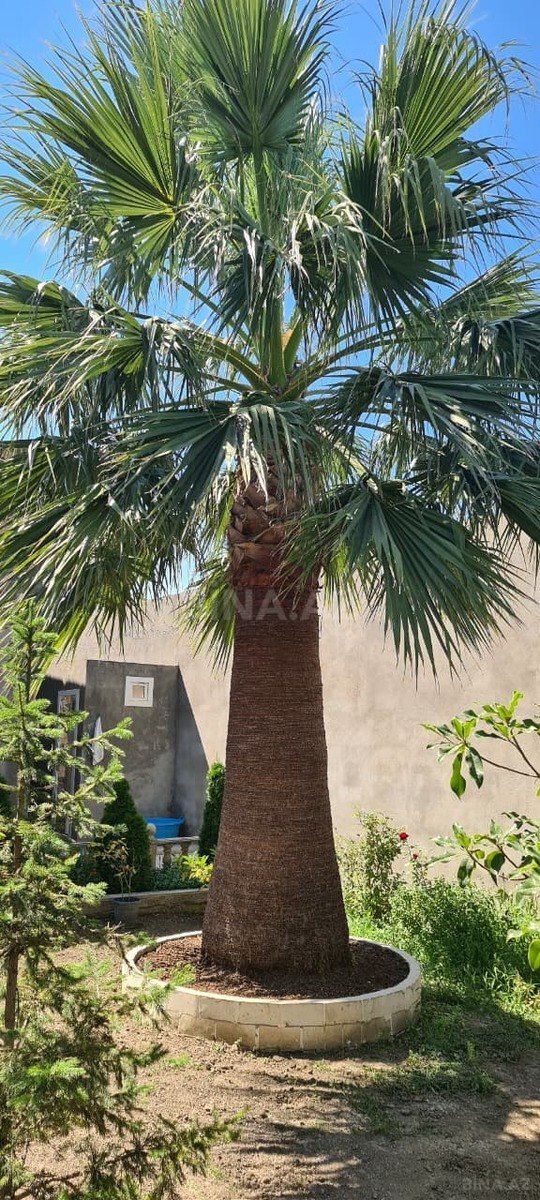 10 otaqlı Həyət evi/Bağ evi, Azadlıq Prospekti m., Bakı