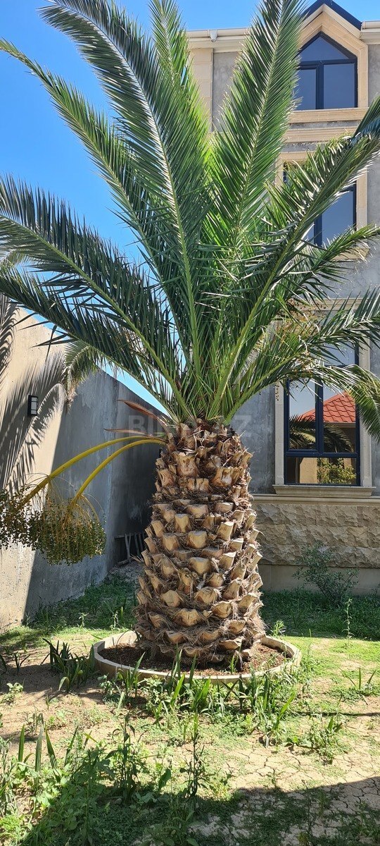 10 otaqlı Həyət evi/Bağ evi, Azadlıq Prospekti m., Bakı
