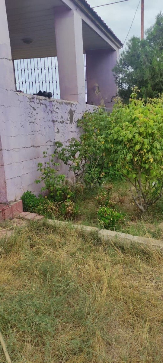 3 otaqlı Həyət evi/Bağ evi, Zirə q., Bakı