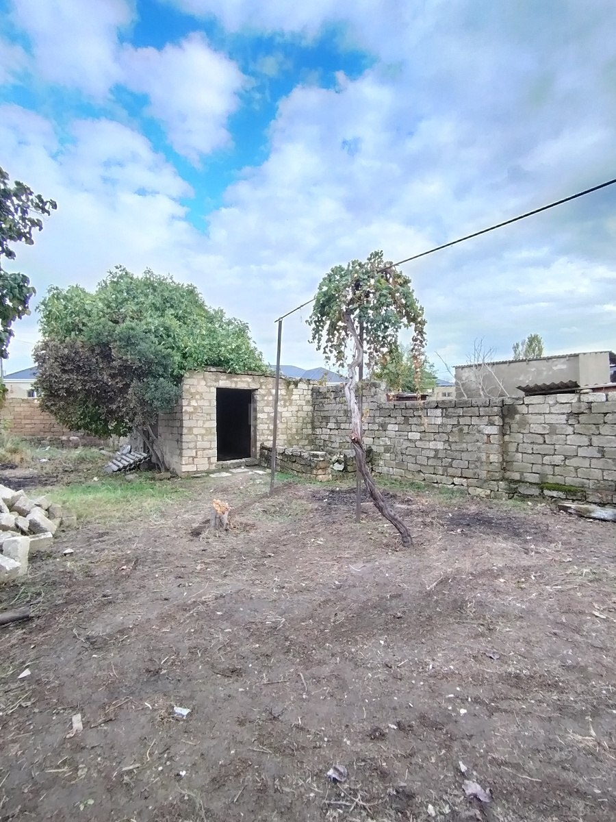 Torpaq Bülbülə q., Bakı