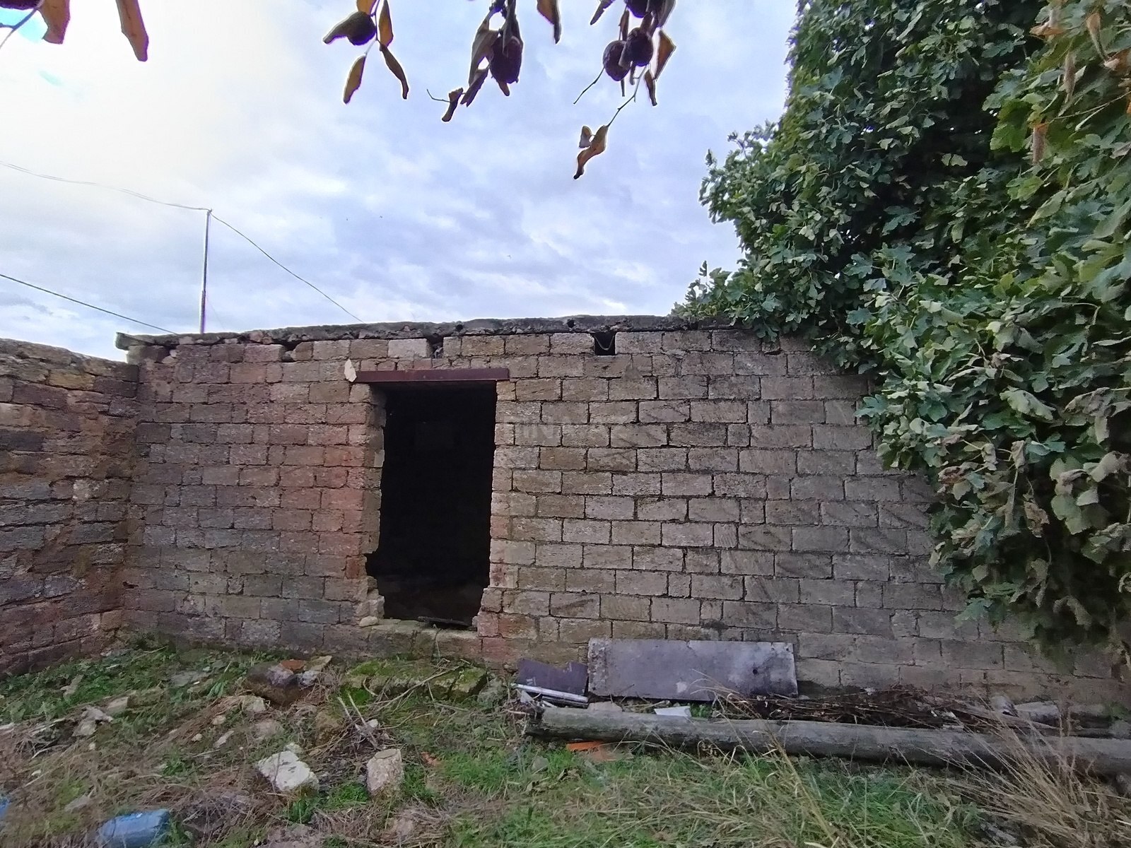 Torpaq Bülbülə q., Bakı