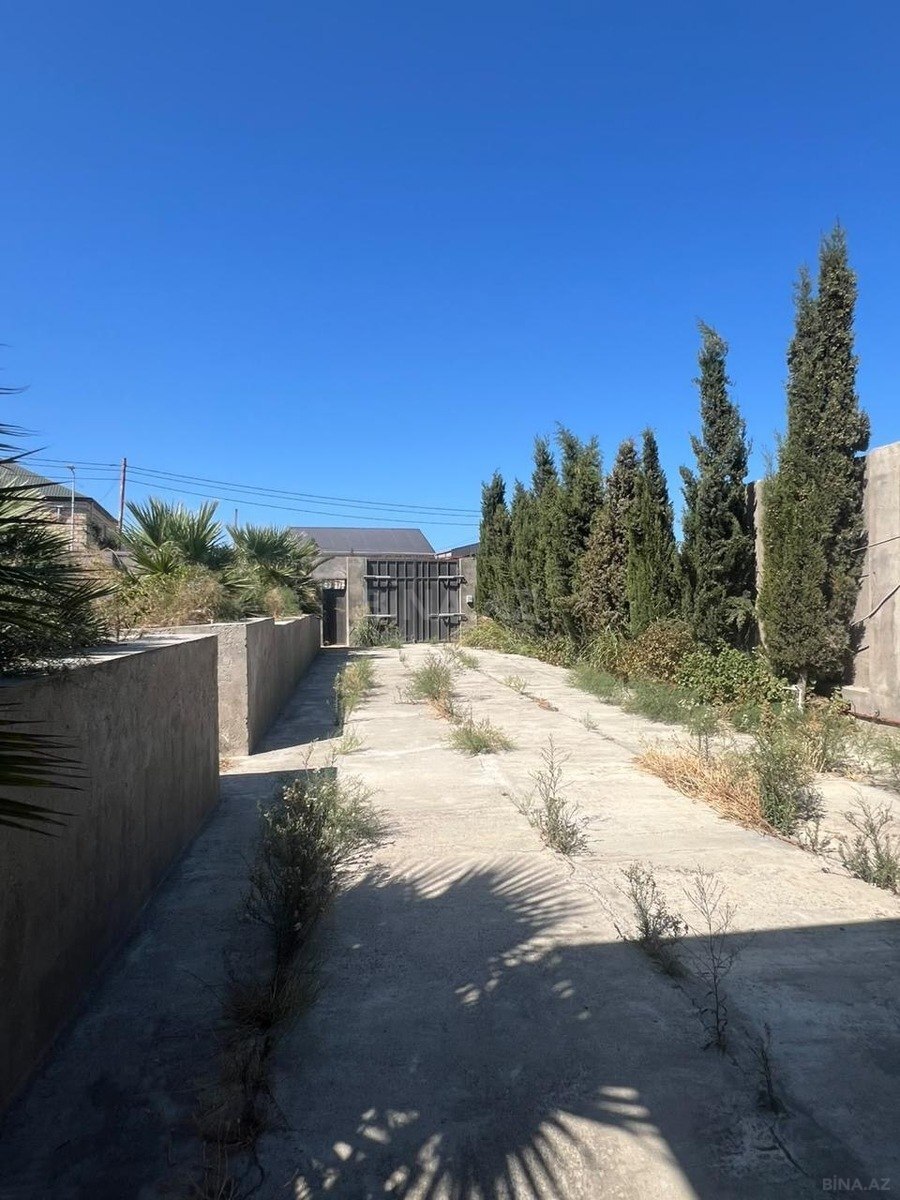 Torpaq Mehdiabad q., Bakı