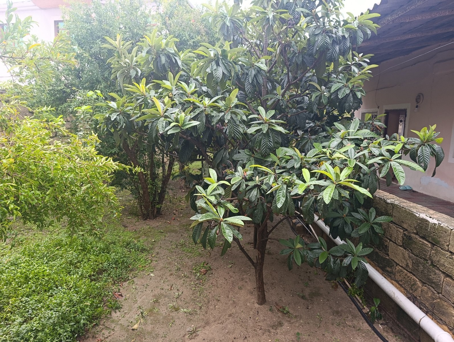 4 otaqlı Həyət evi/Bağ evi, Novxanı q., Bakı