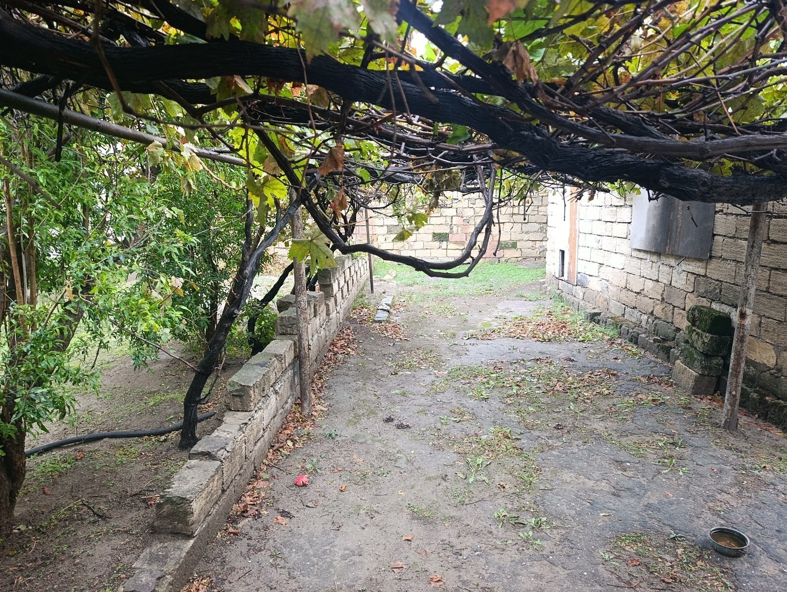 4 otaqlı Həyət evi/Bağ evi, Novxanı q., Bakı