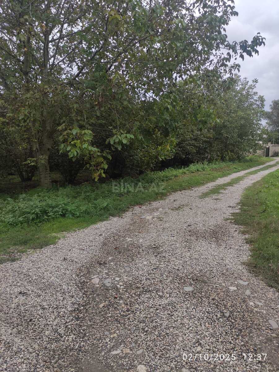 Torpaq Nabran r., Xaçmaz