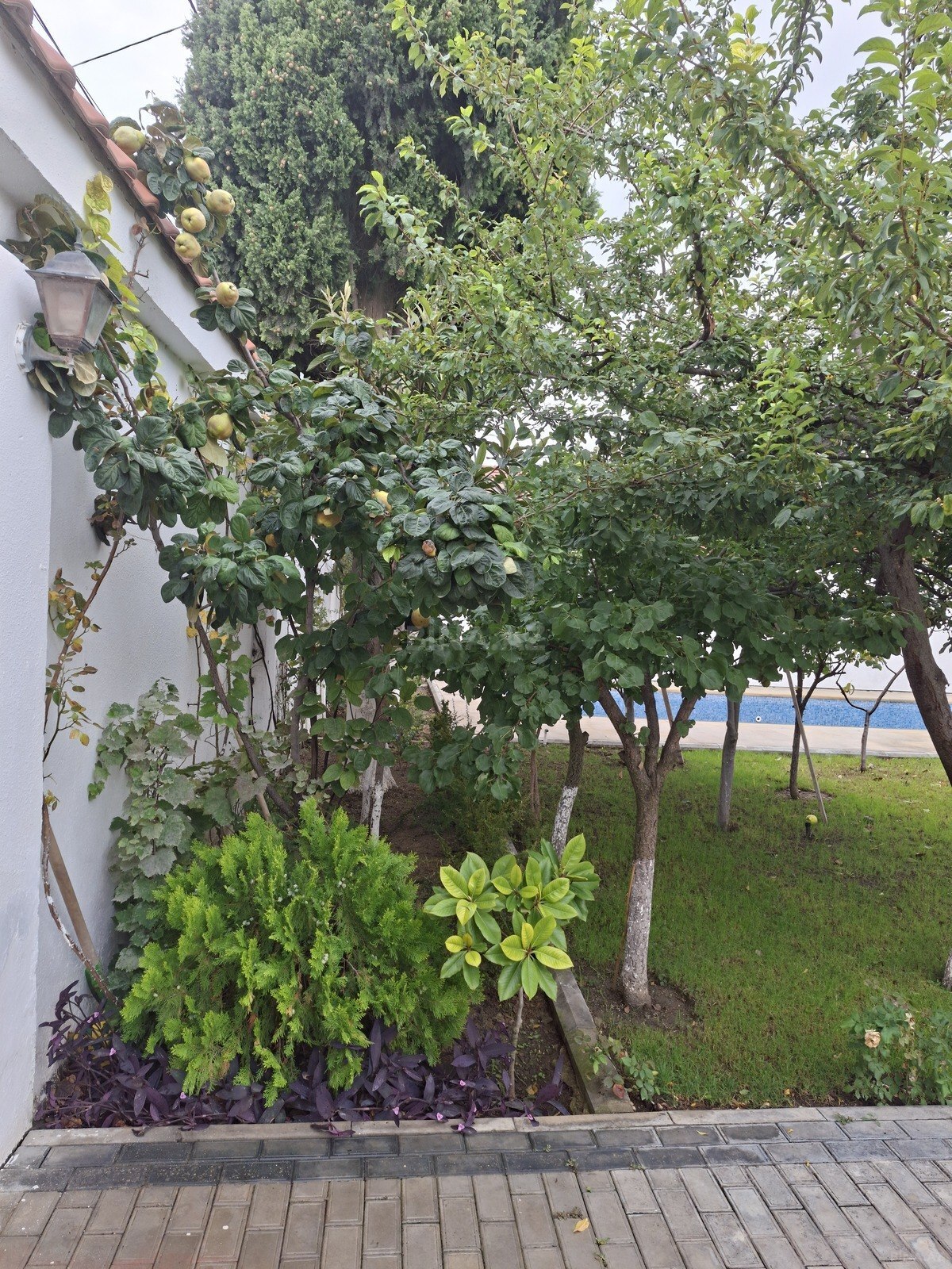 5 otaqlı Həyət evi/Bağ evi, Şüvəlan q., Bakı