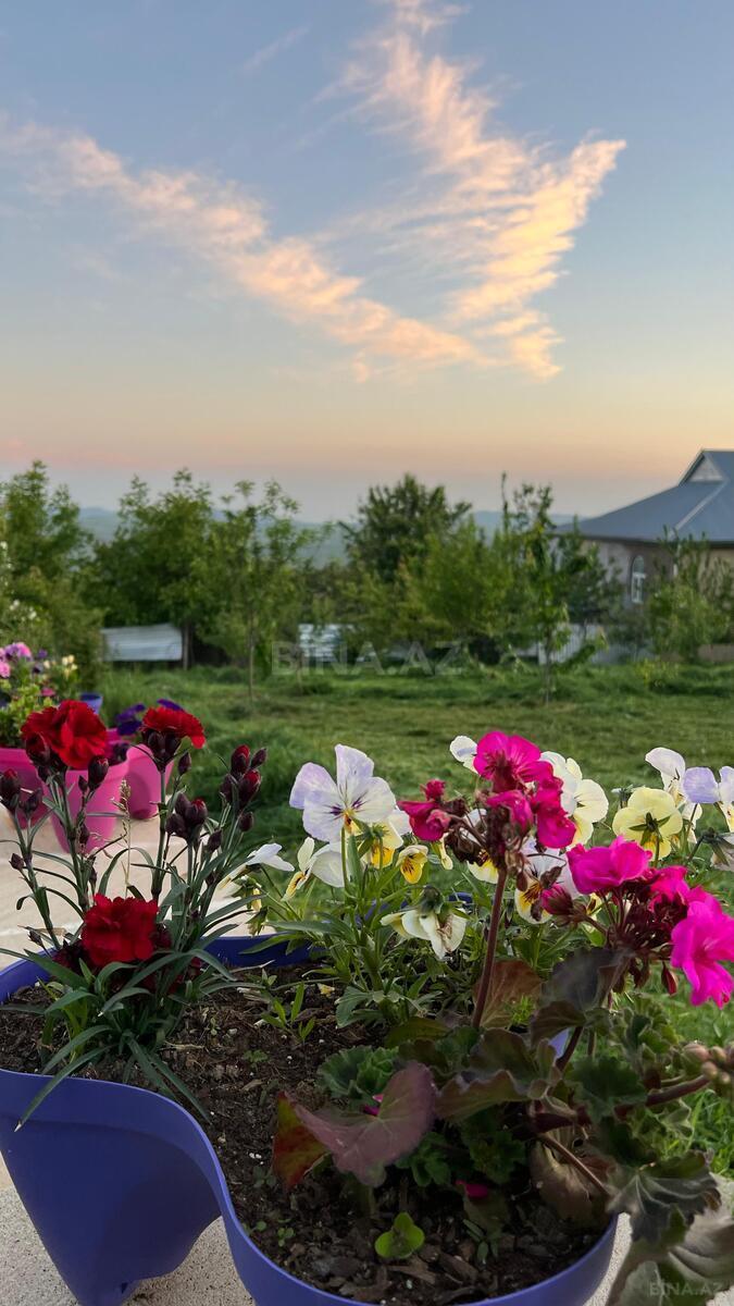 3 otaqlı Həyət evi/Bağ evi, Şamaxı