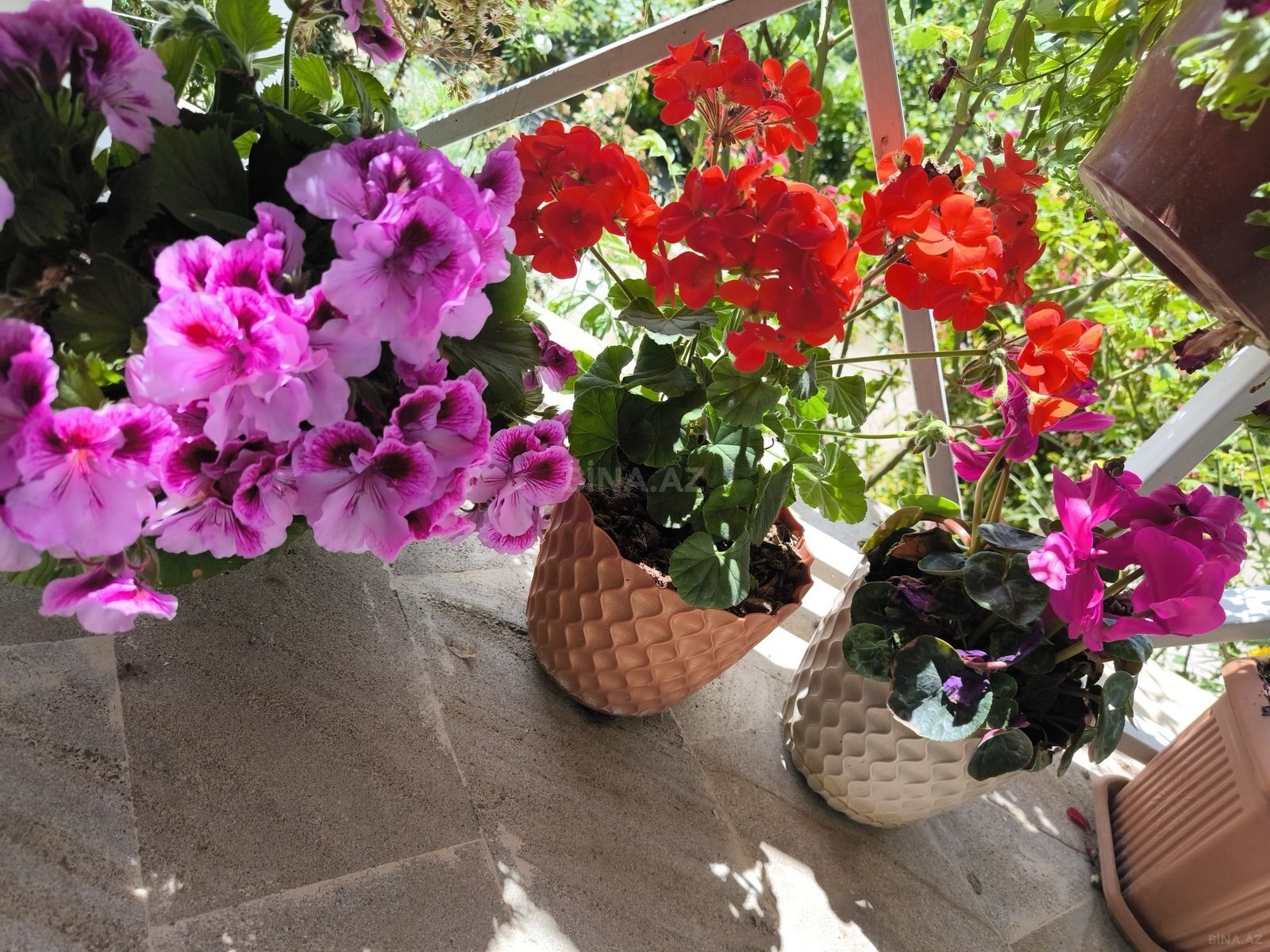 3 otaqlı Həyət evi/Bağ evi, Şamaxı