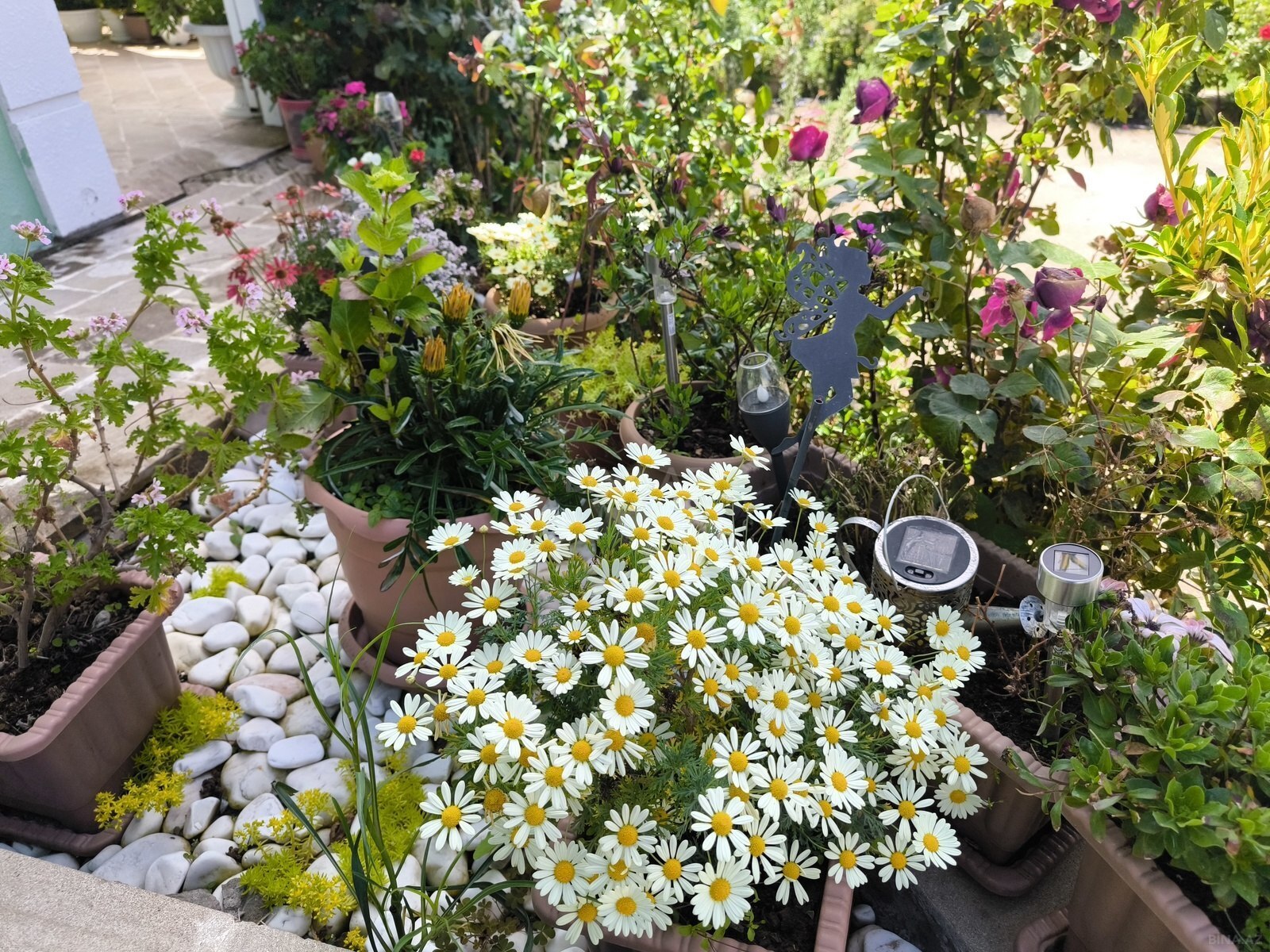 3 otaqlı Həyət evi/Bağ evi, Şamaxı