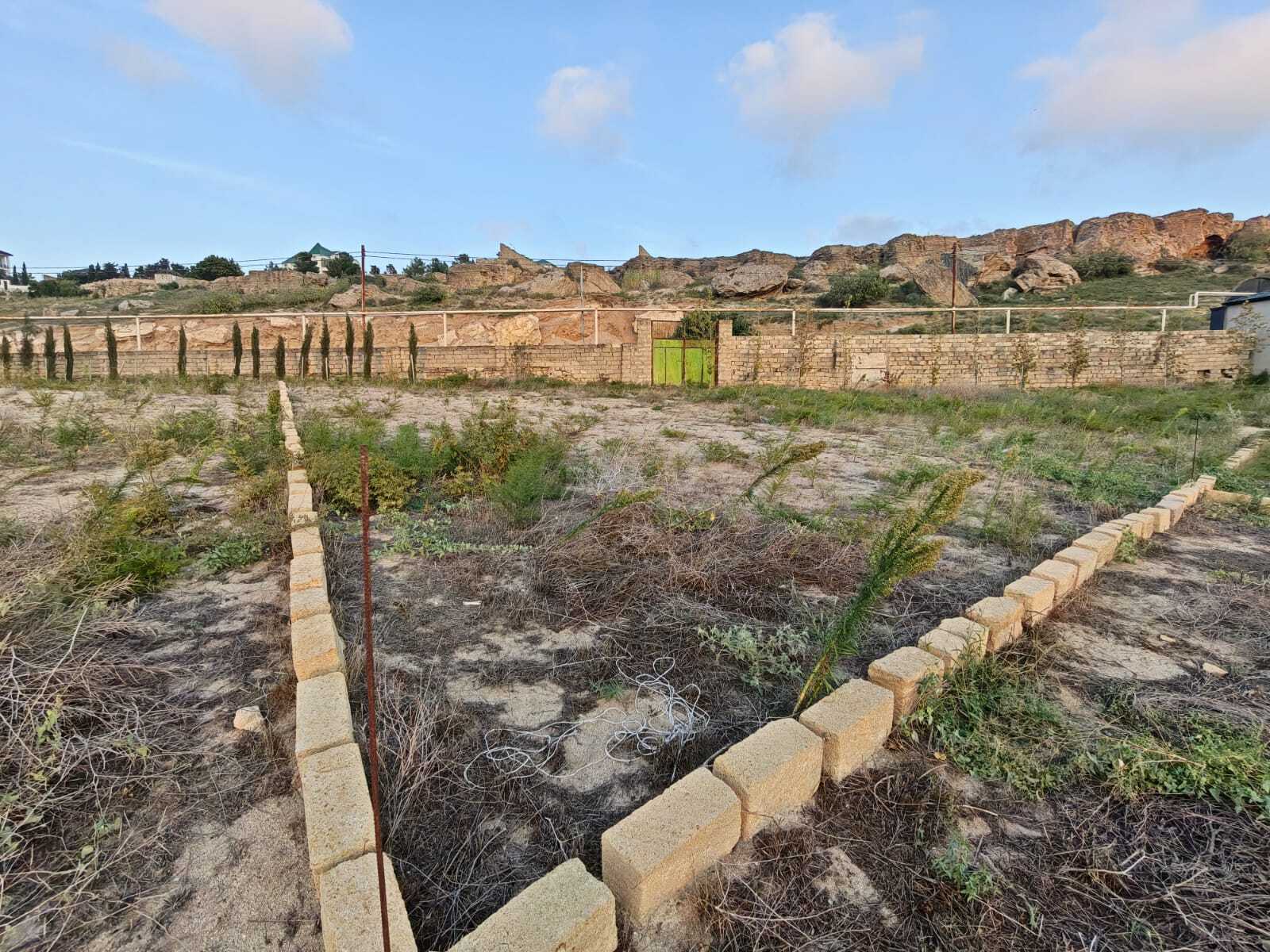 Torpaq Nardaran q., Bakı