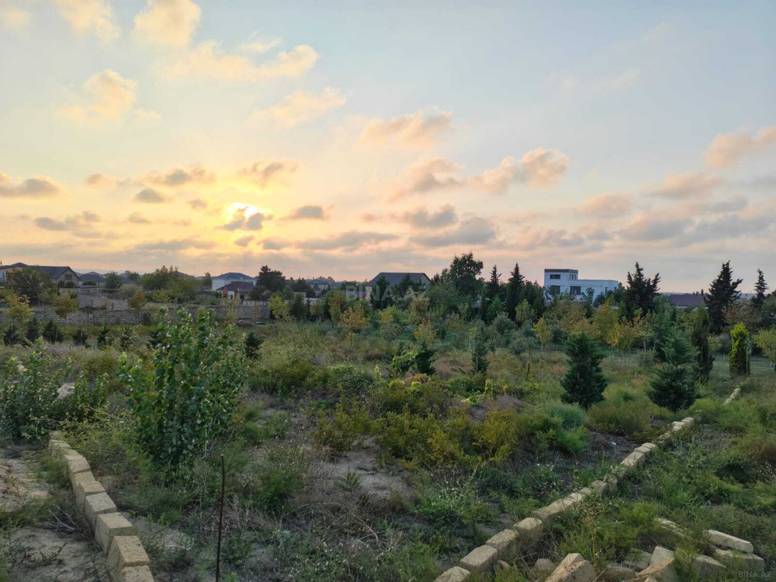 Torpaq Nardaran q., Bakı