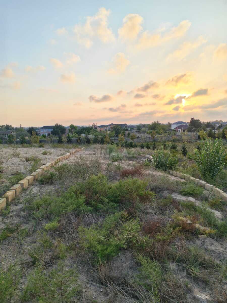 Torpaq Nardaran q., Bakı