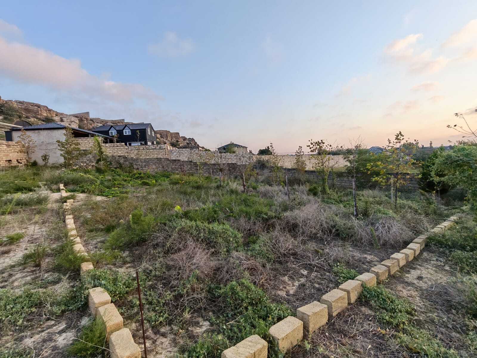 Torpaq Nardaran q., Bakı