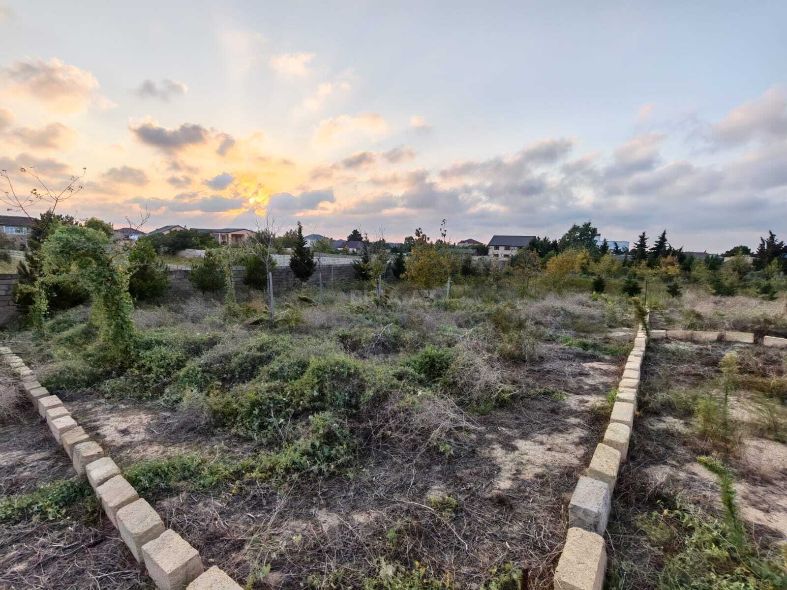 Torpaq Nardaran q., Bakı