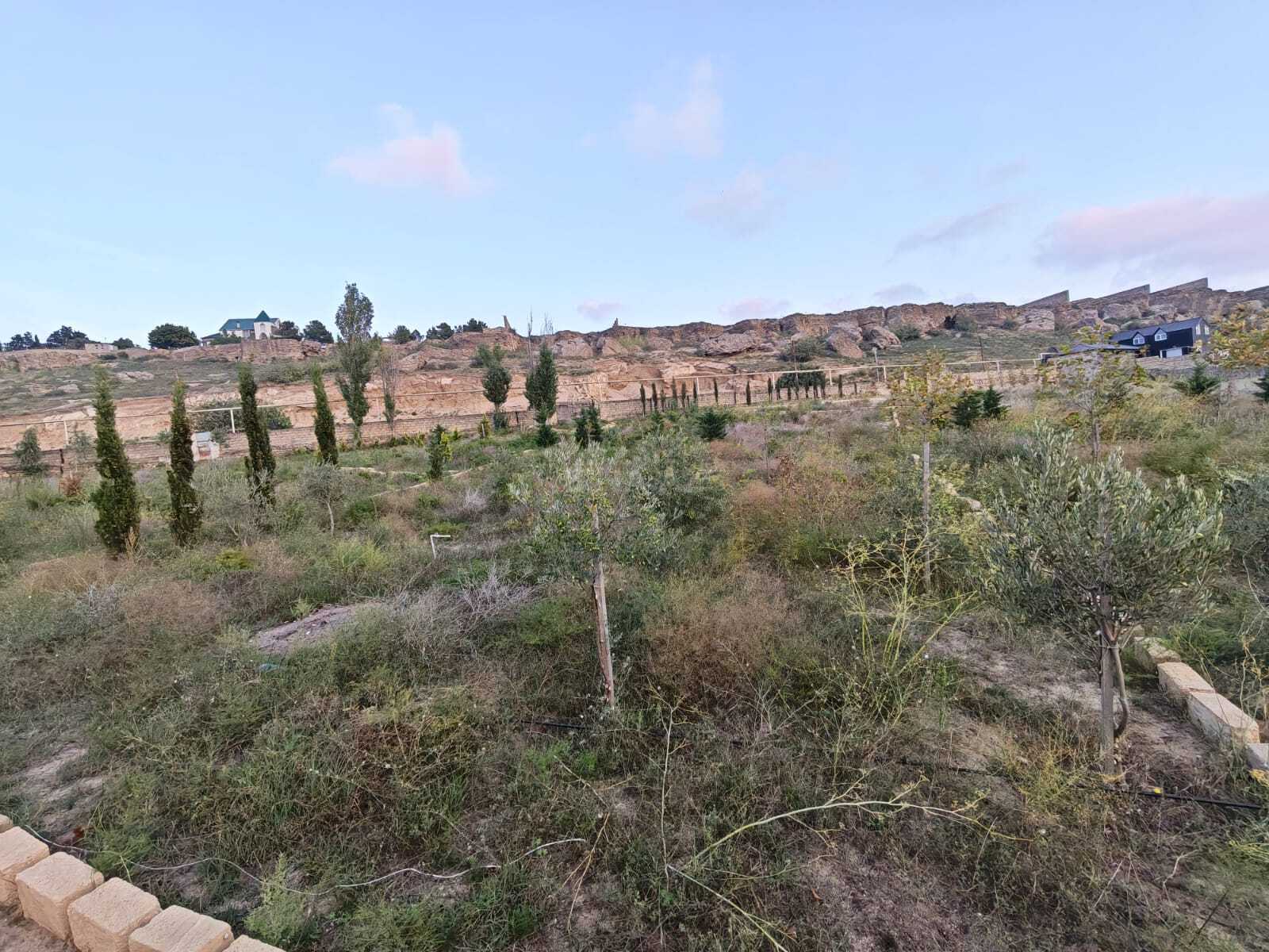 Torpaq Nardaran q., Bakı
