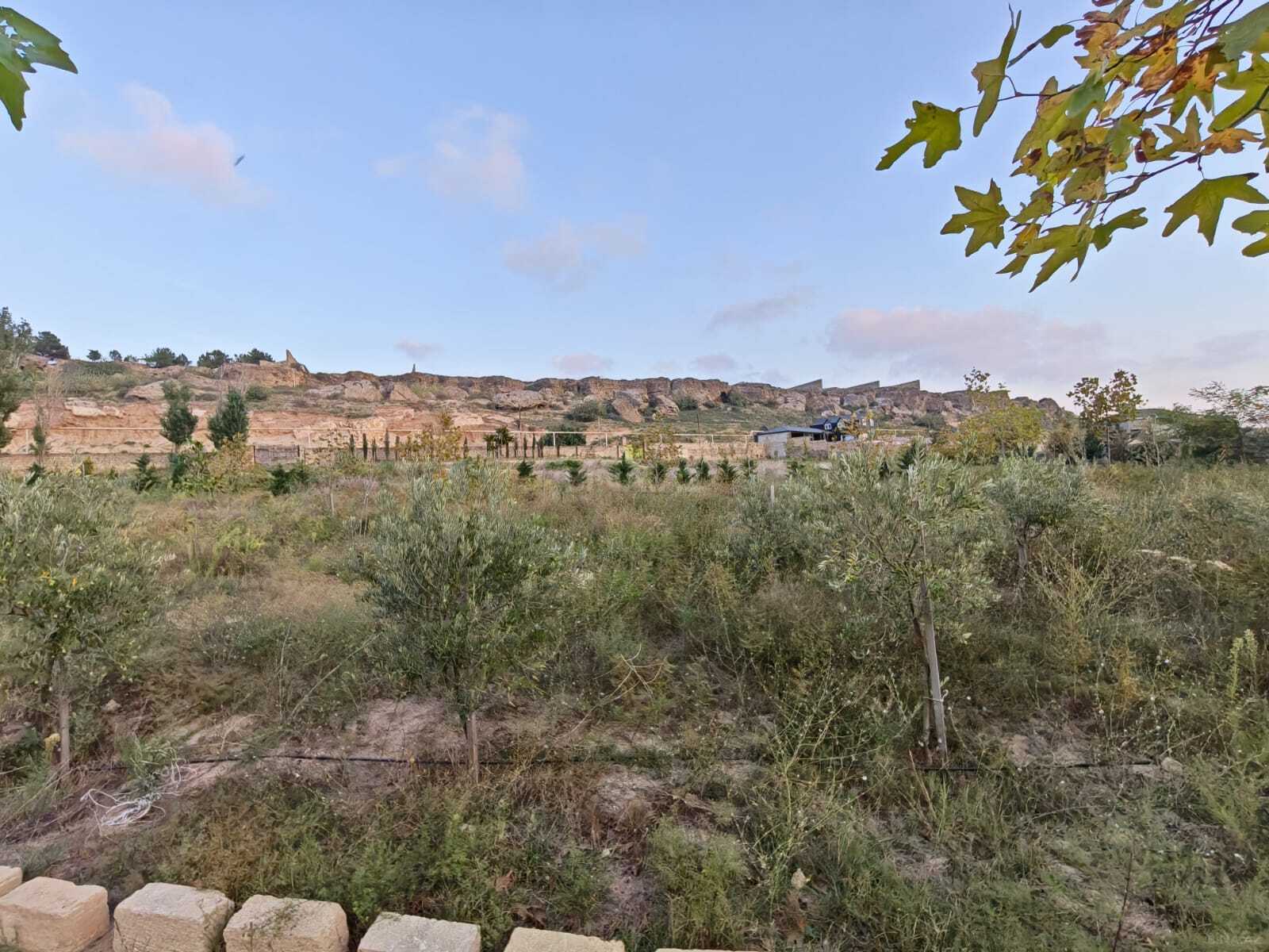 Torpaq Nardaran q., Bakı