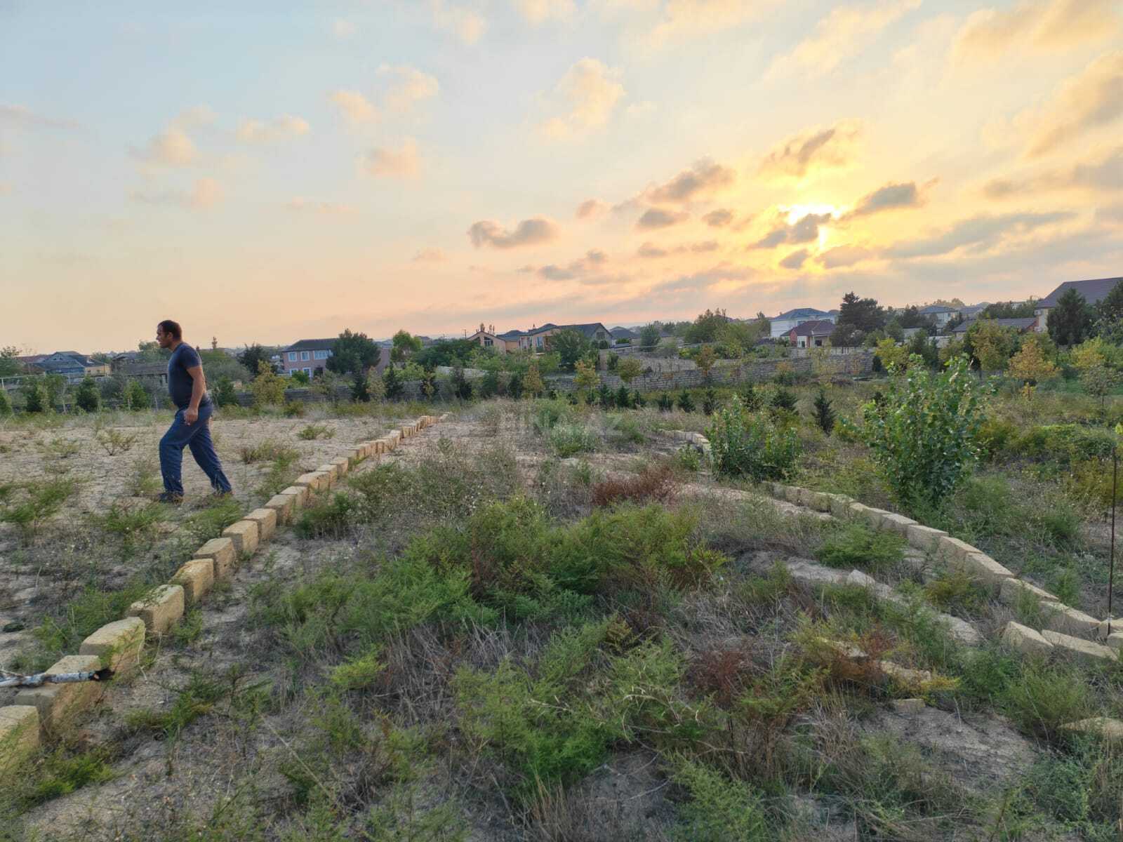Torpaq Nardaran q., Bakı
