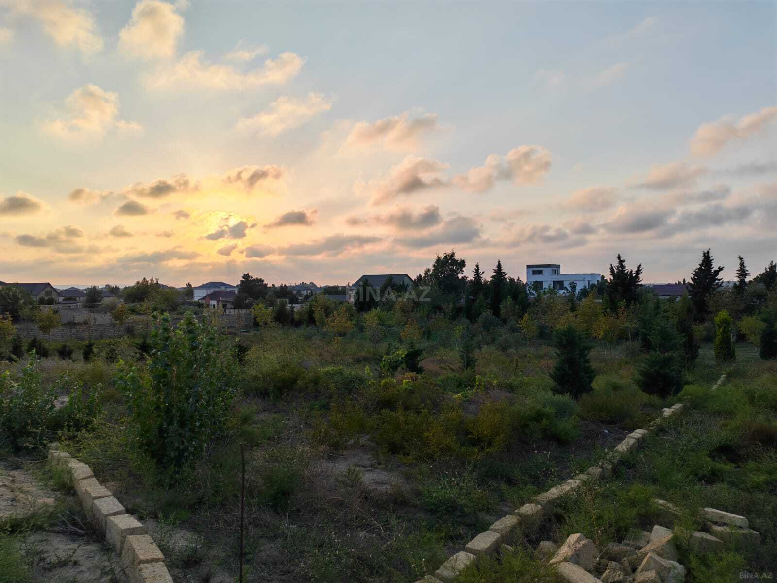 Torpaq Nardaran q., Bakı