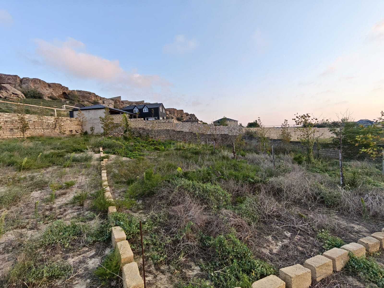 Torpaq Nardaran q., Bakı