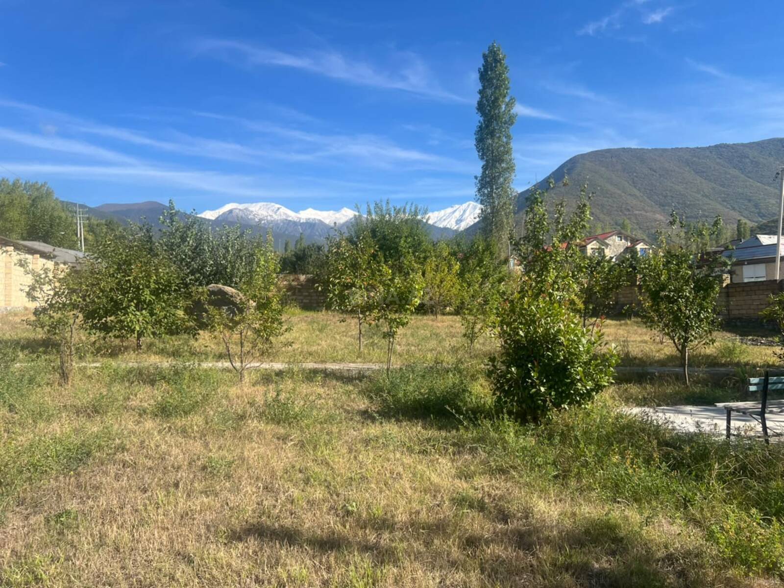 Torpaq Şəki
