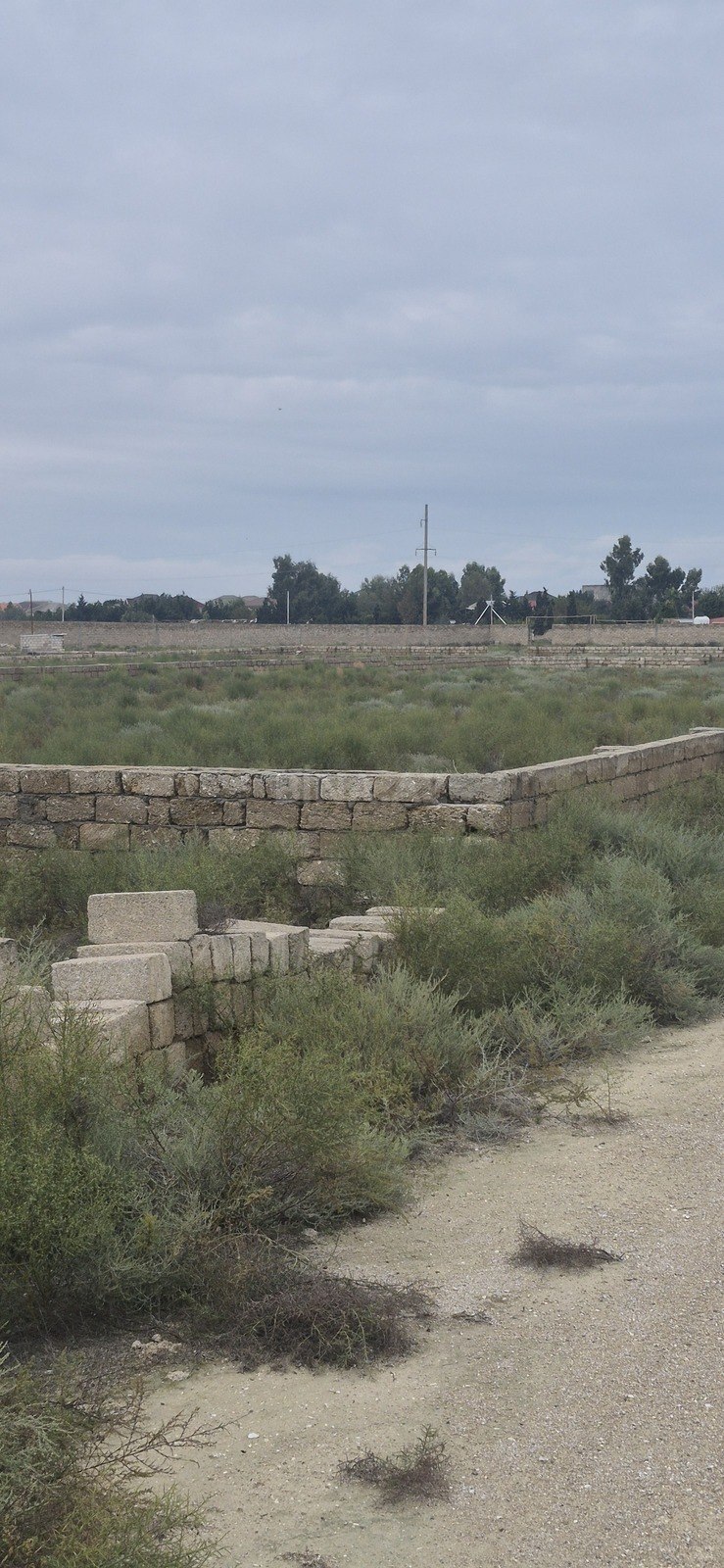 Torpaq Türkan q., Bakı