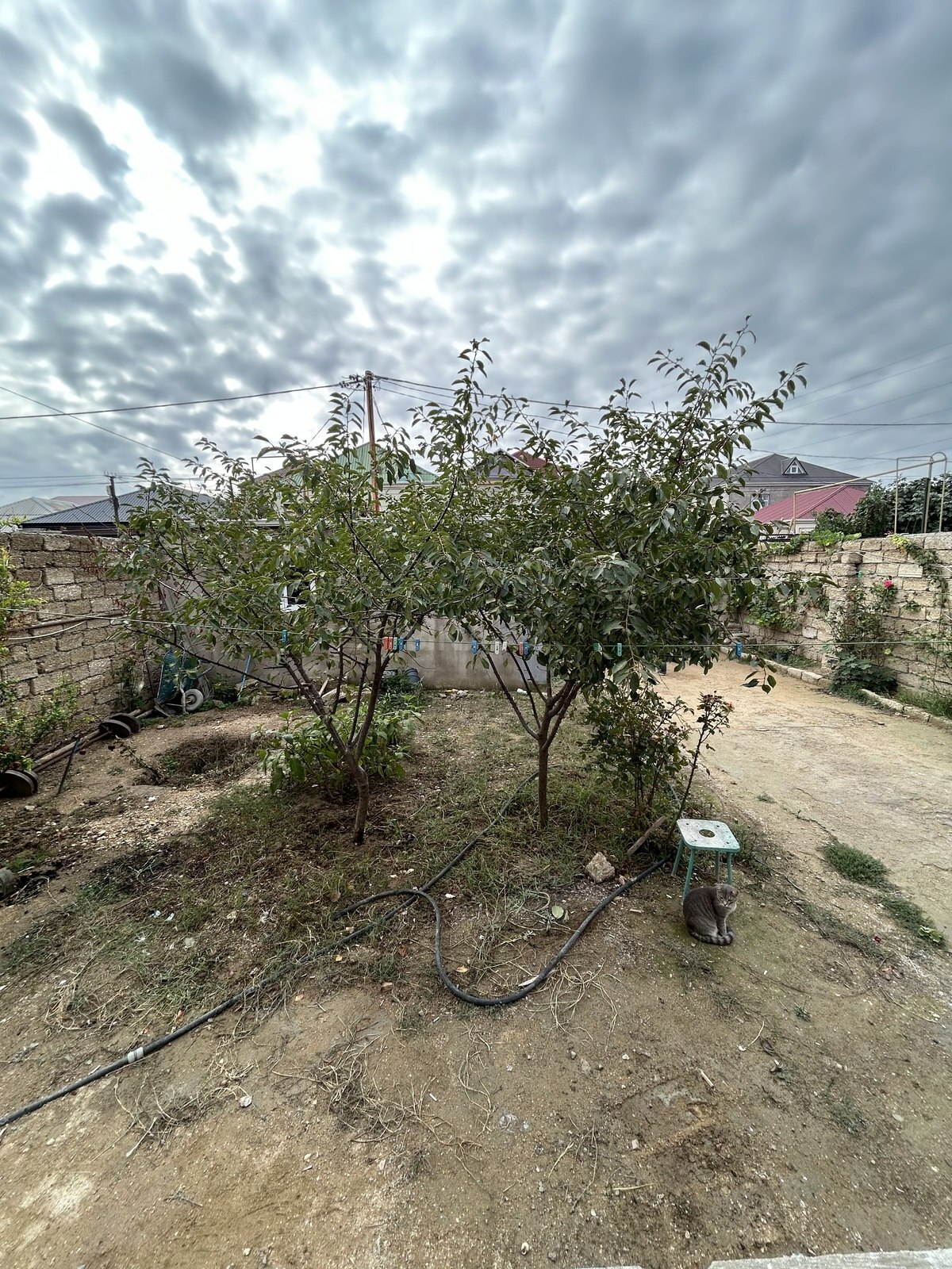 4 otaqlı Həyət evi/Bağ evi, Binə q., Bakı