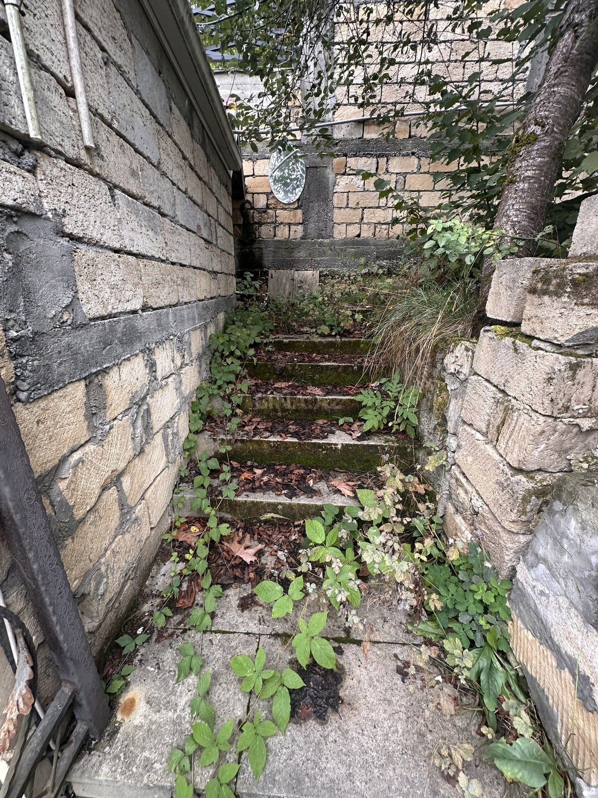 4 otaqlı Həyət evi/Bağ evi, Quba