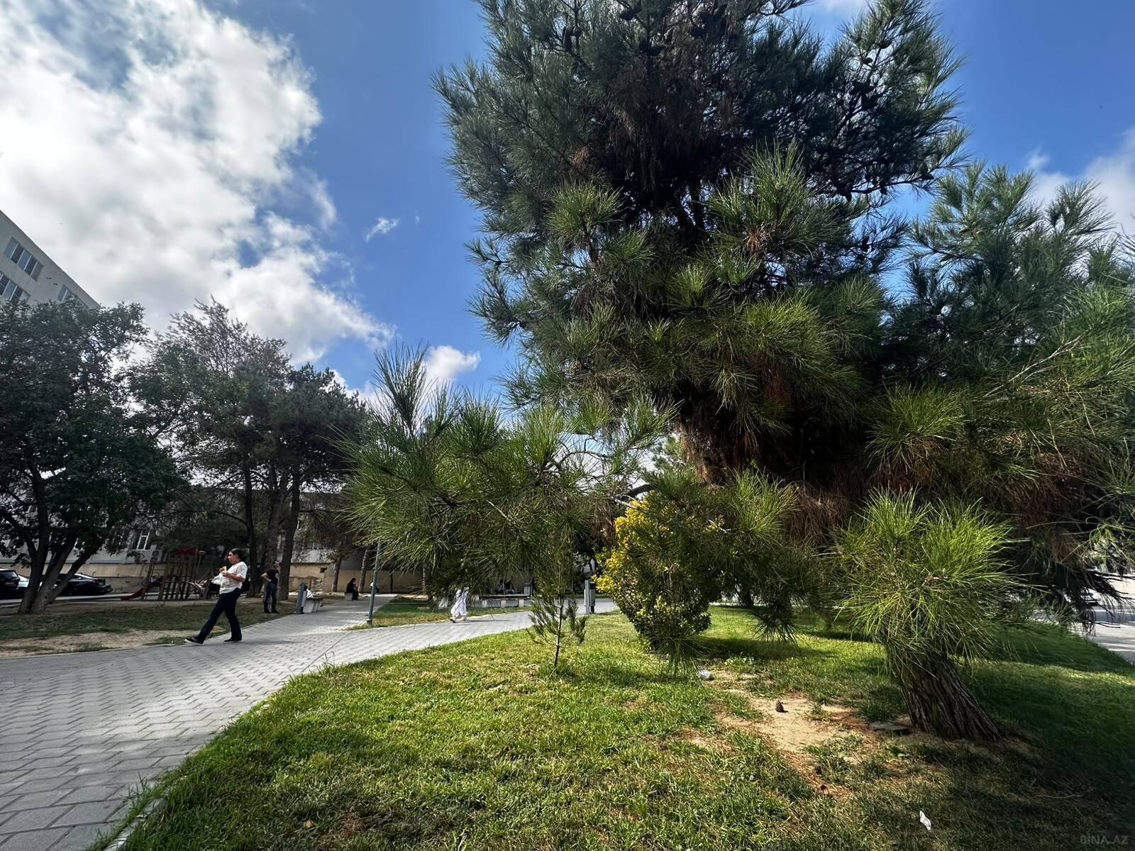 2 otaqlı Köhnə tikili, Gənclik m., Bakı