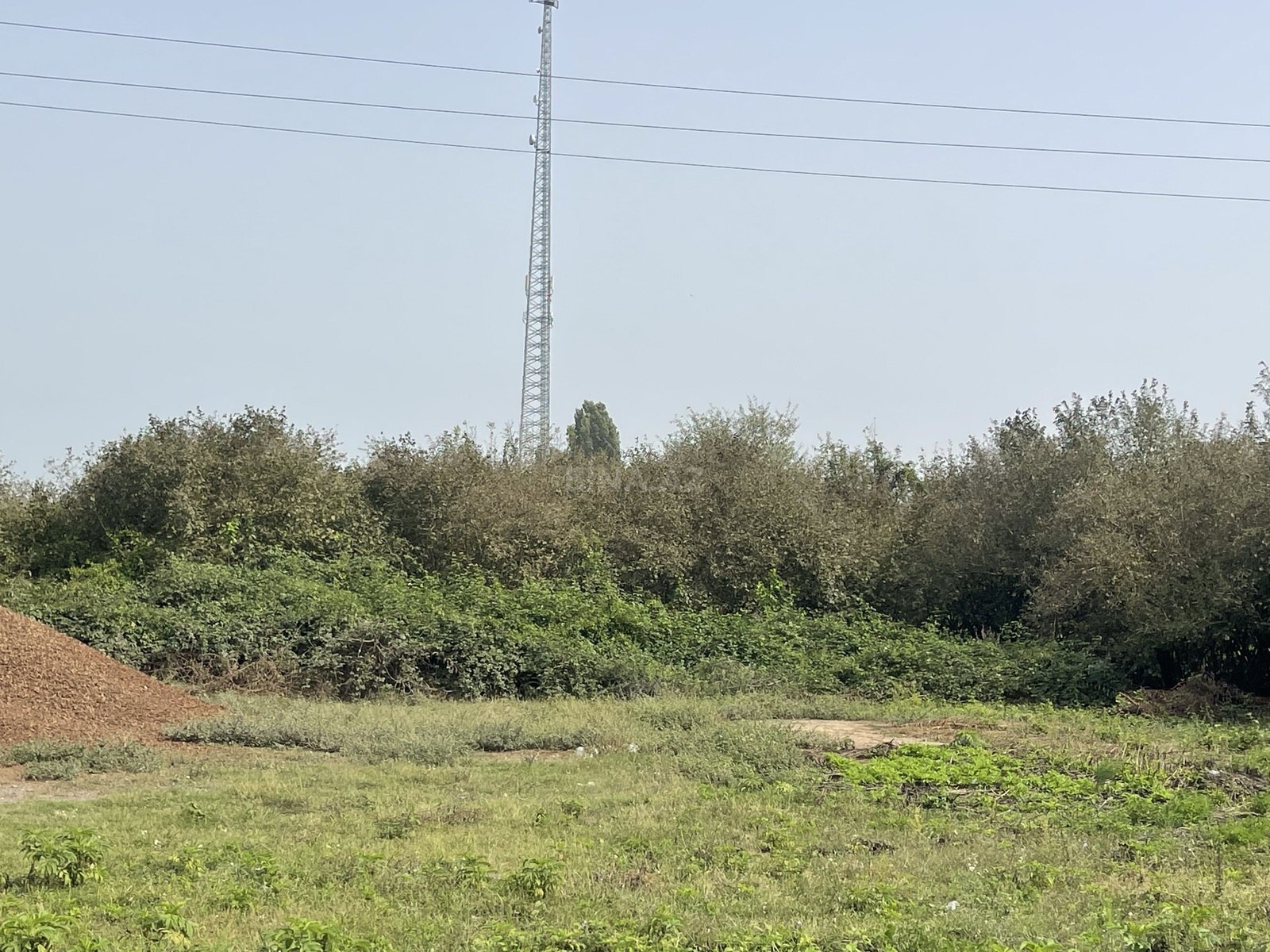 Torpaq Zaqatala