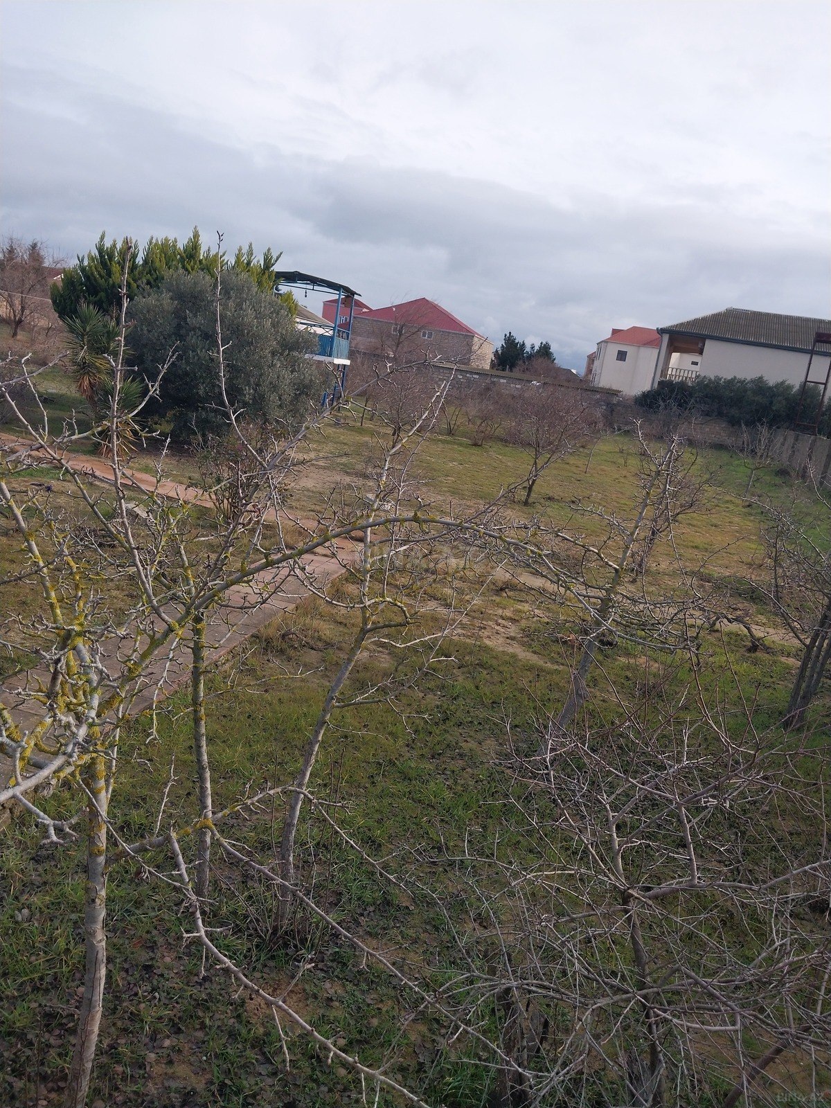 Torpaq Albalılıq q., Bakı