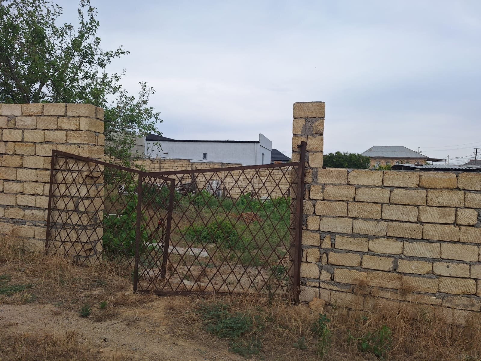 Torpaq Novxanı q., Bakı