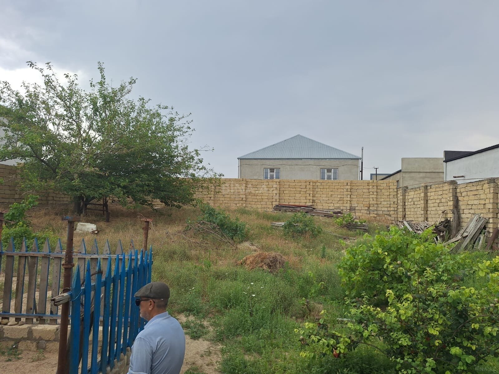 Torpaq Novxanı q., Bakı