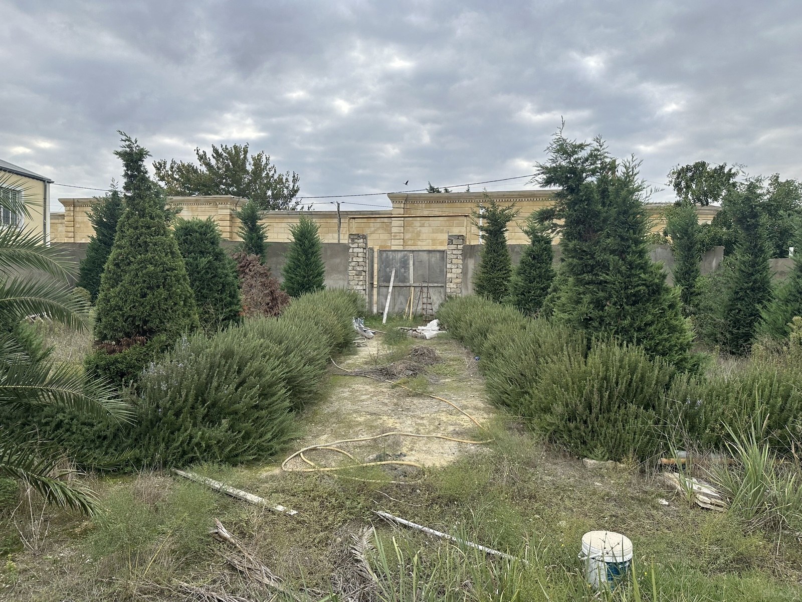 Torpaq Mərdəkan q., Bakı