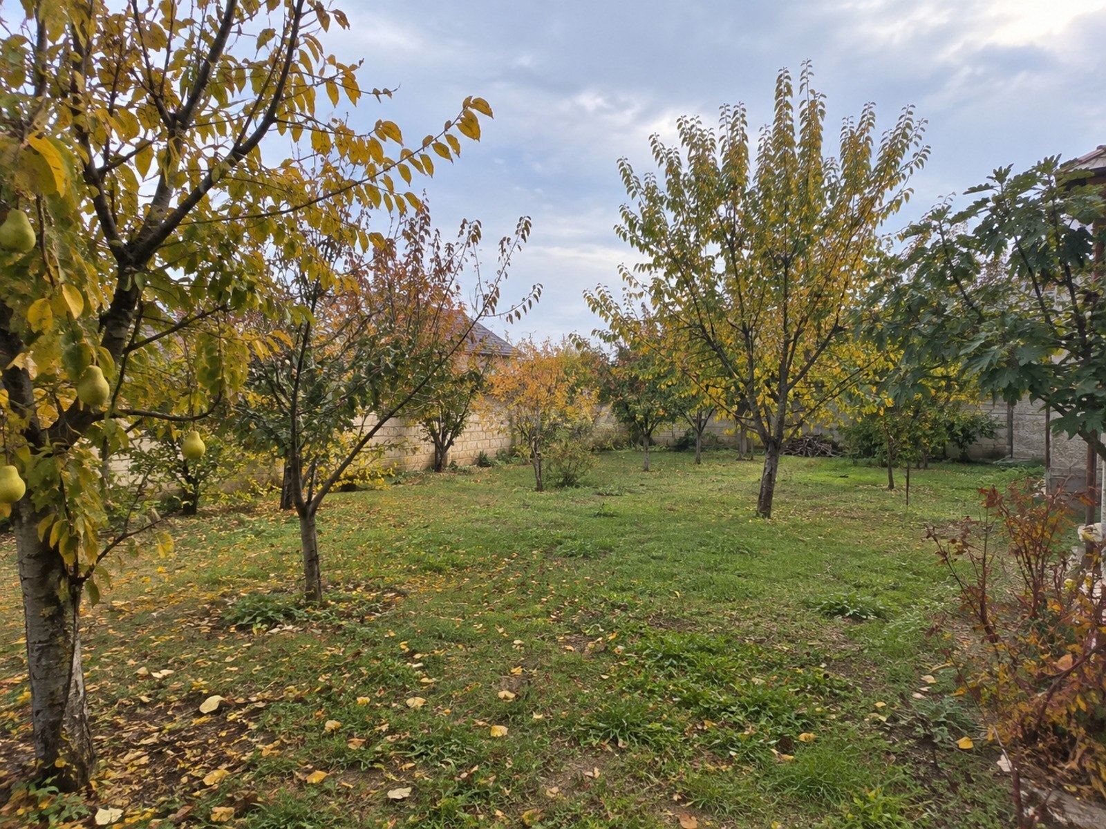 Torpaq Xaçmaz r., Xaçmaz
