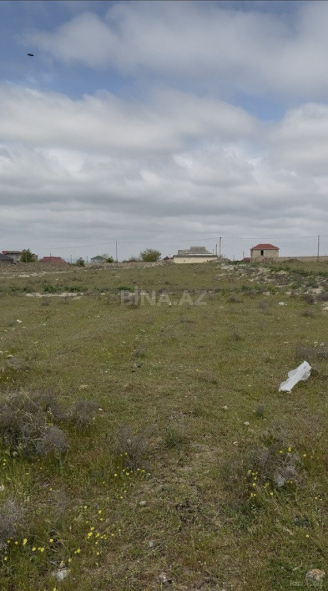 Torpaq Türkan q., Bakı