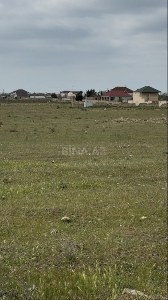 Torpaq Türkan q., Bakı