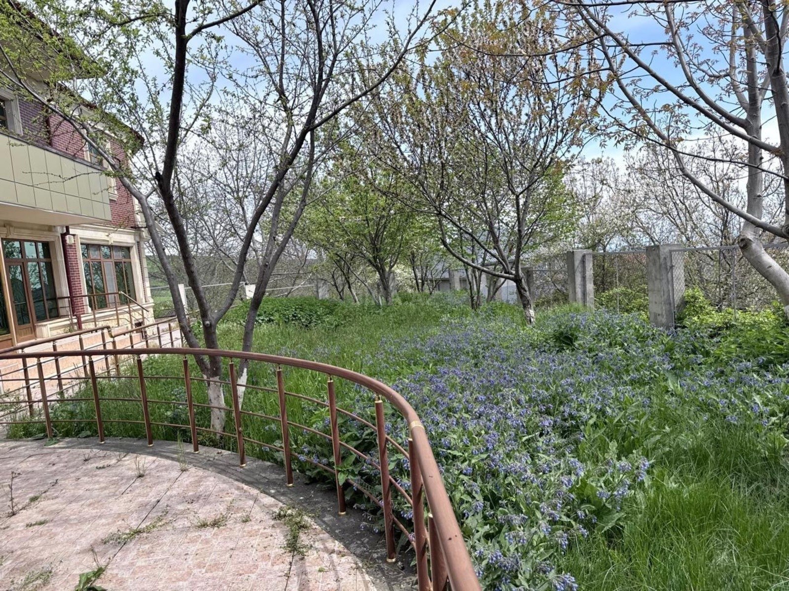 8 otaqlı Həyət evi/Bağ evi, Şamaxı