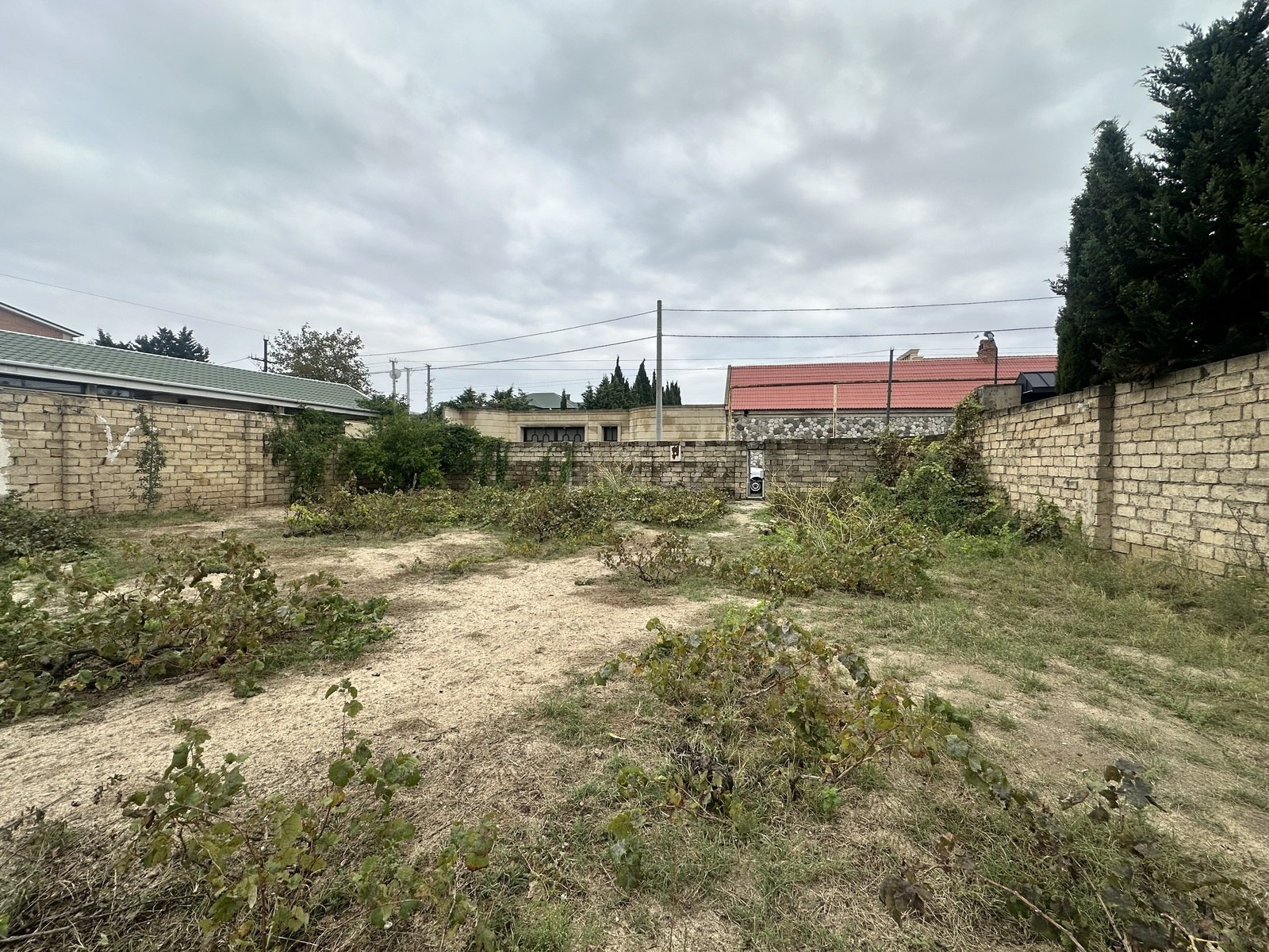 Torpaq Novxanı q., Bakı