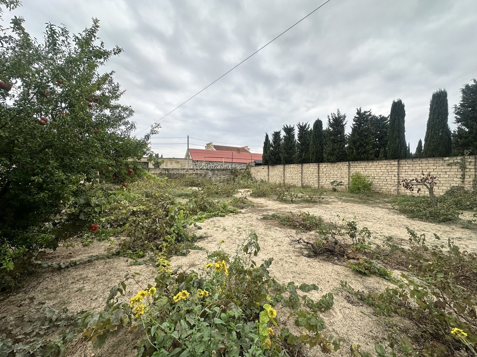 Torpaq Novxanı q., Bakı