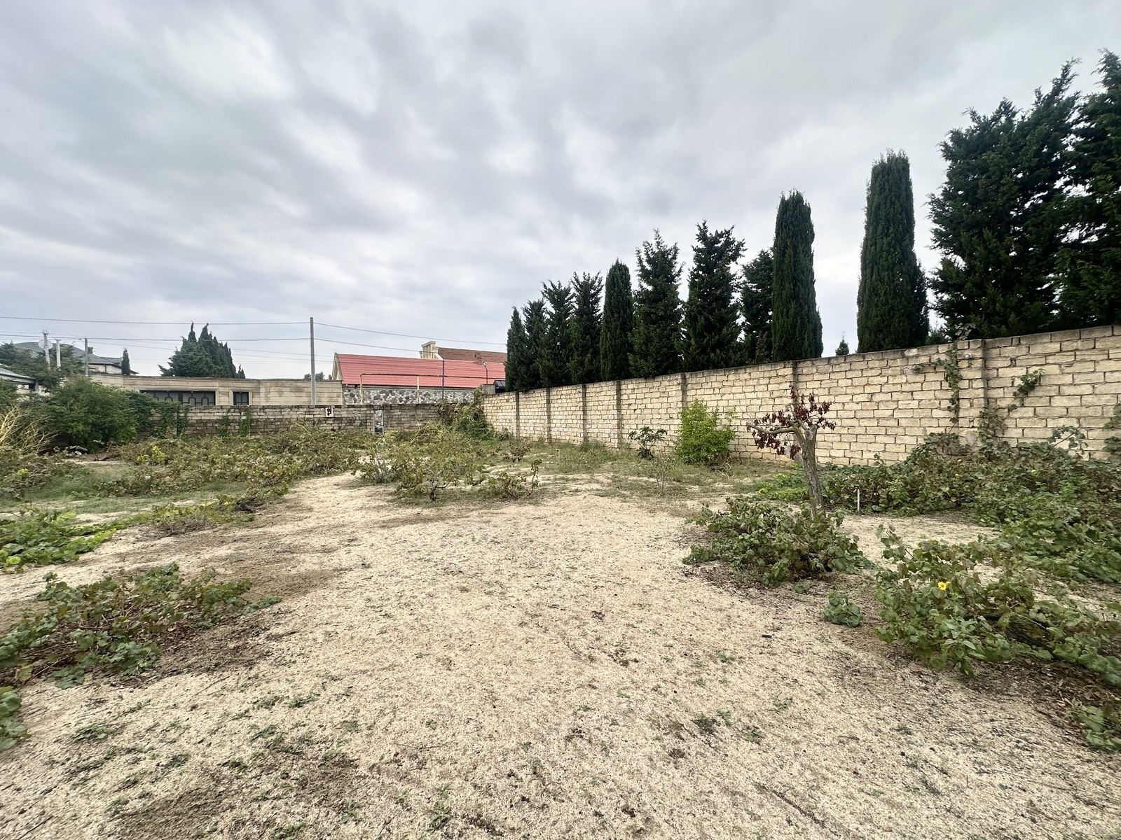 Torpaq Novxanı q., Bakı