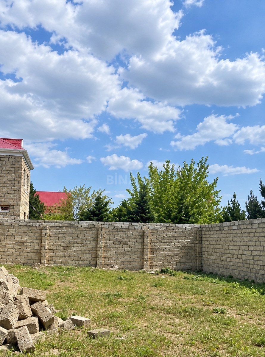 Torpaq Türkan q., Bakı